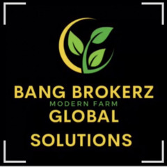 BANG BROKERZ RECORDS