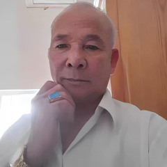 Do Duy Anh