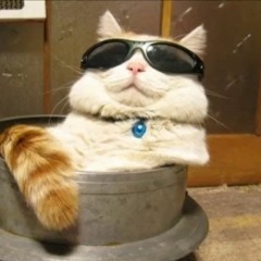 CHILLER