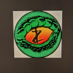 Z.I
