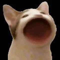 gato loko