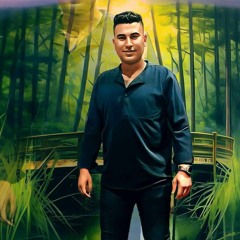 Abdo M Esawy