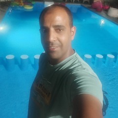 حنفي محمود