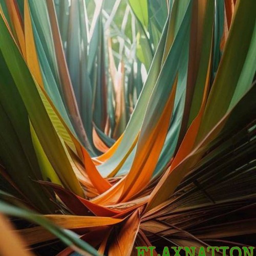 Flaxnation (NZ)’s avatar