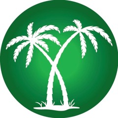 Palm Tree