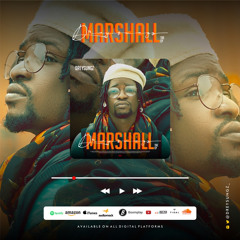 DistroKid Wheel of Playlist