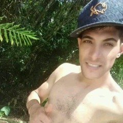 Wilson Goulart
