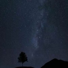 Ehdaa Elmadawy