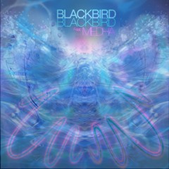 BLACKBIRD BLACKBIRD