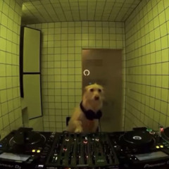 DJ HURTTA