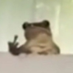 tchotcheeu