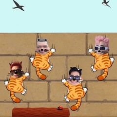 4Kittens pack v3