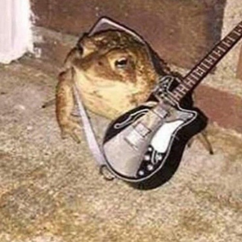 FroggyRiffs’s avatar