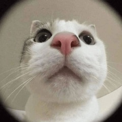 Vanyok