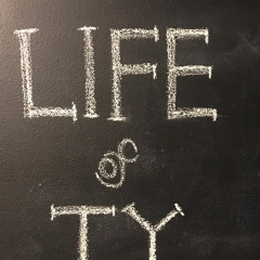 Life of Ty PC