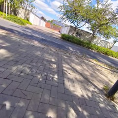 yngA