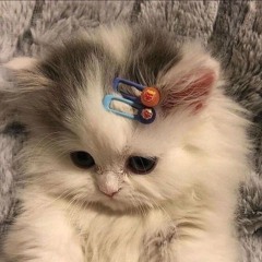 غيمه 🎀