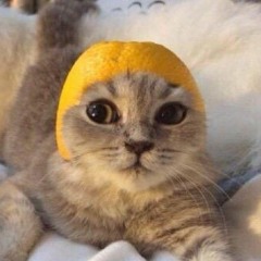 Thamfrench