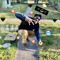 YMG Malc Da Don