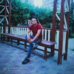 Mohamed Zayed