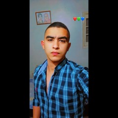 Alaa Mahmoud