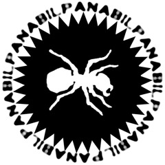 PaNaBiL