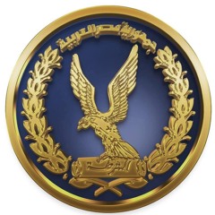 Hany Elmasry