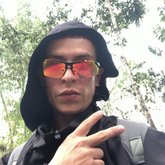 N3M3SIS3