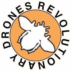 Revolutionary Drones