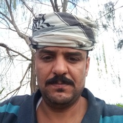 عودة الاصيل