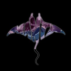 MANTA