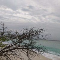 Siyaama Moosa