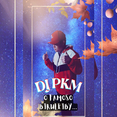 DJ PKM /O FAMOSO BIRULEIBY🤯’s avatar