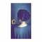 Elham Adly