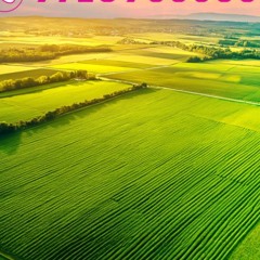 Book Now Arvind Everland ☎️9710933555, Plots Sanand Mankol, Price List