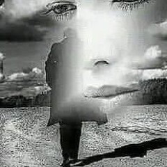 Mohamed Elmoghazy