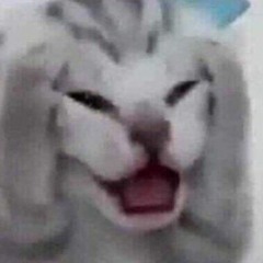 KaPu