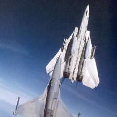 he / F-14D super tomcat