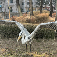 나견