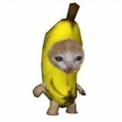 🍌Banancat🍌