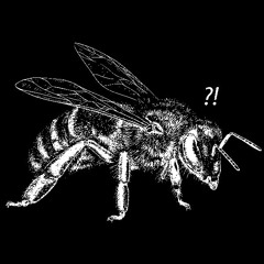 🐝