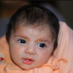 Fadi Basim