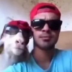 CrisTy