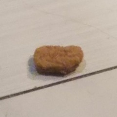 Queef Nugget