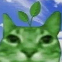 こばれんじ(本物）
