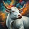 Cotton oX