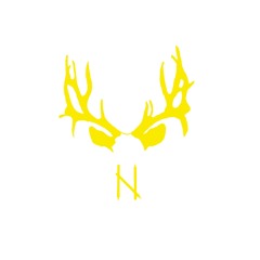 NightLifeKartelsRecords