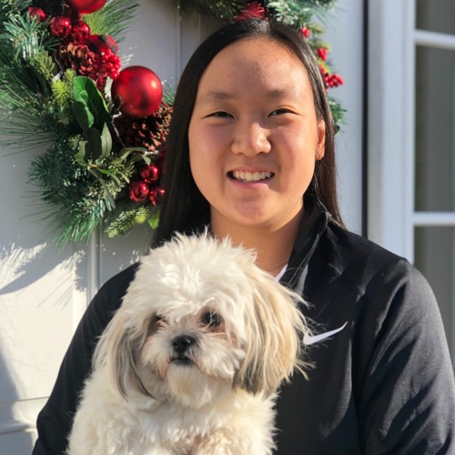 Stream Nina Sitarski music Listen to songs, albums, playlists for