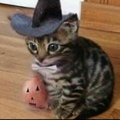 Drew Gourd