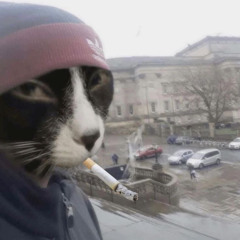 swaglawd